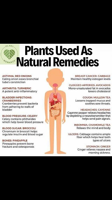 Alkaline water is a life saver & it’s easy to make! 🥒🍋💧