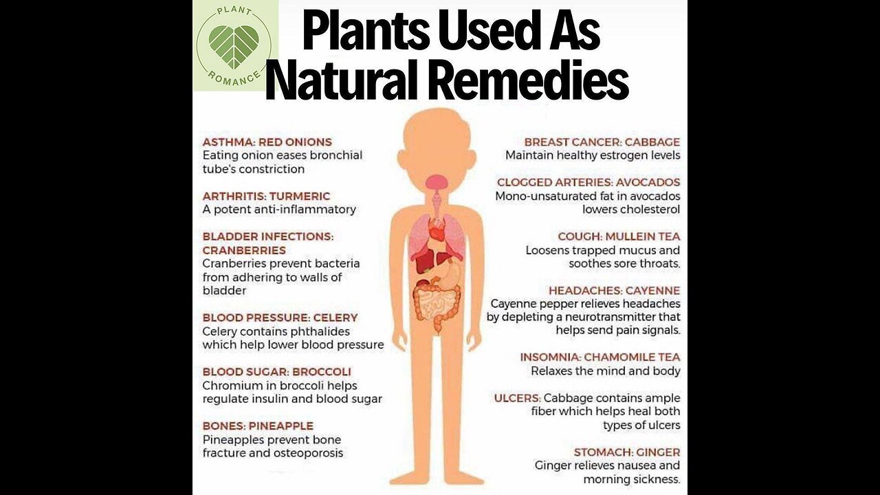 Alkaline water is a life saver & it’s easy to make! 🥒🍋💧