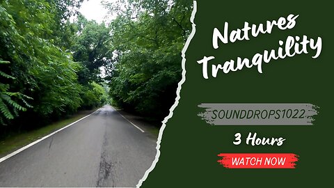 3 Hours of Nature's Tranquility: Relaxing Drive