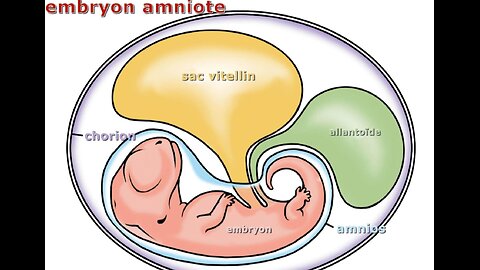 ASK CHARLIE KIRK WHAT THIS IS