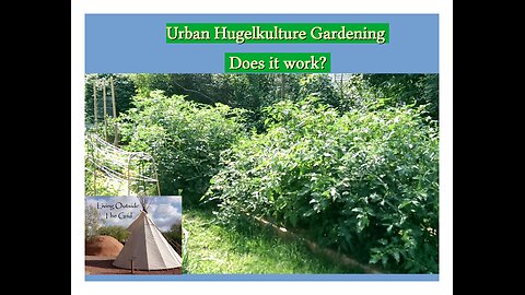 Amazing Gardening technique, Urban Hugelkultur Tested