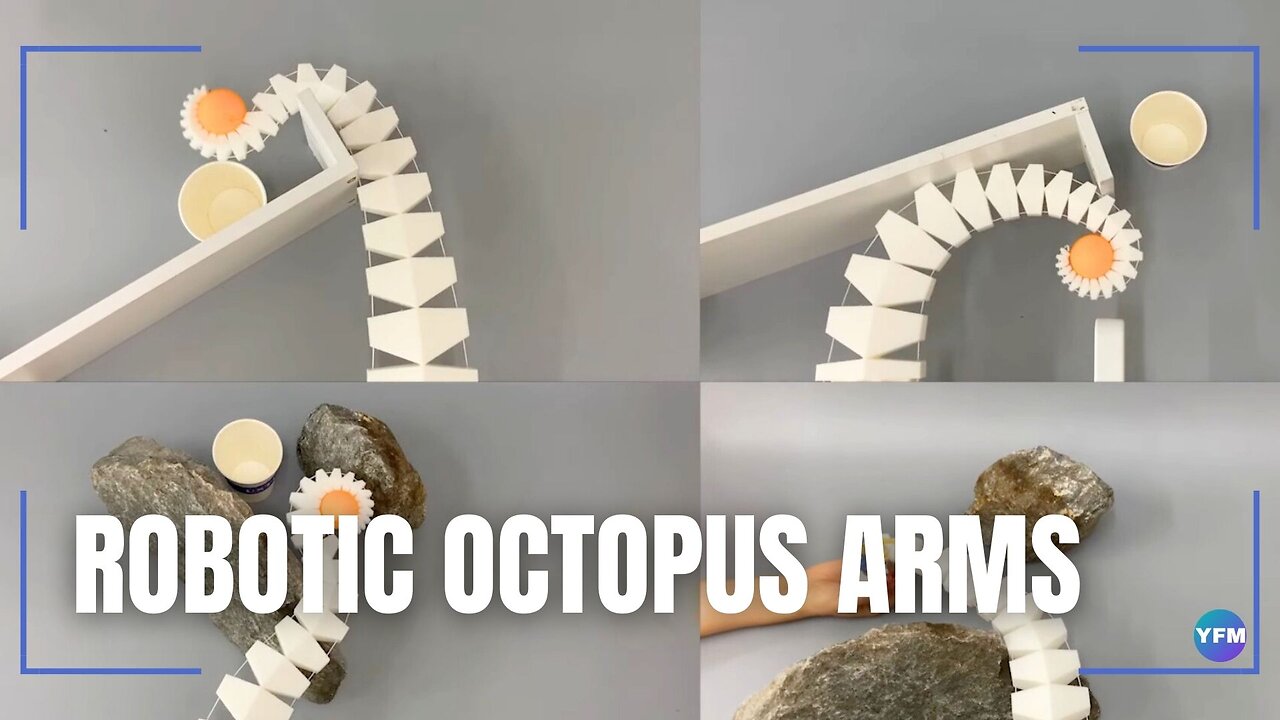 Octopus-inspired robot arm that lifts 260 times its weight