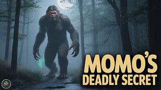 Discover Momo's POWERFUL Defense Mechanism! #enigmacast