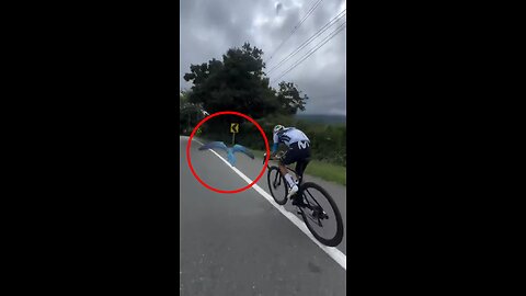 Alianza deportiva: guacamayo persigue a un ciclista en pleno entrenamiento
