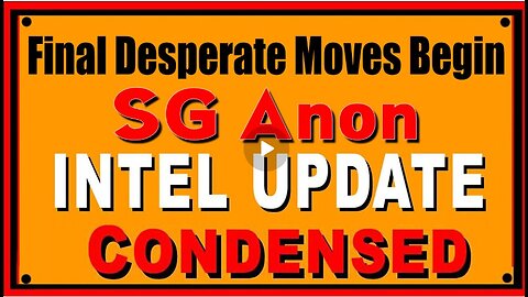 SG Anon Excellent Report 3.14.25 - Final Desperate Moves Begin