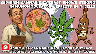 CBD-Rich Cannabis Extract Shows Strong Immunomodulatory Effects in T Cell Study