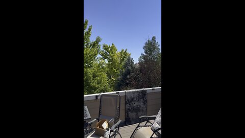 What a nice day today