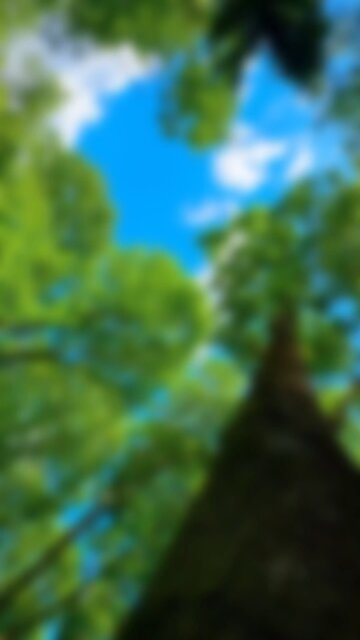 Let's take a moment to see the natural environment to relieve our tired minds.