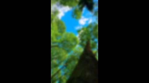 Let's take a moment to see the natural environment to relieve our tired minds.