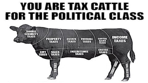 MOOO! You Like This You Tax Cattle?