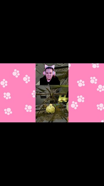 Well… That Was a Bit Premature. 😅