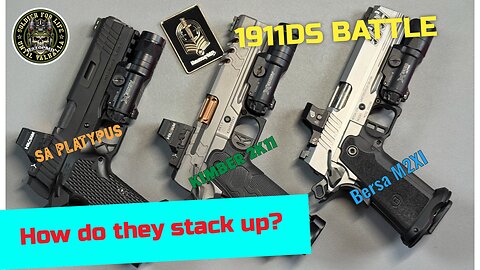 Stealth Arms Platypus vs Bersa M2XI vs Kimber 2K11