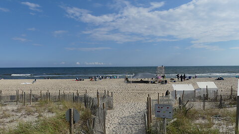 FIRE ISLAND
