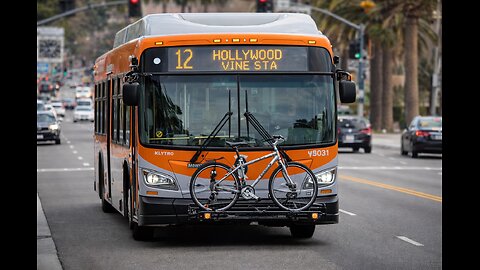 NewFlyer XN40 LACMTA LA Metro Citybus