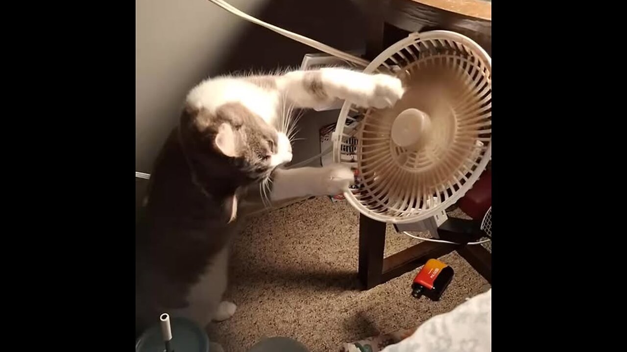 Oh, how interesting he is.