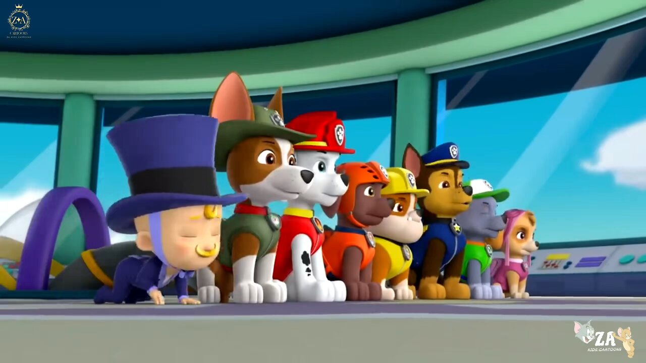 PAW Patrol Cartoons