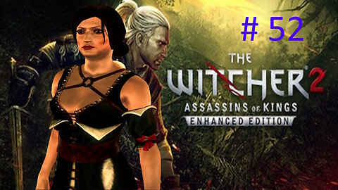 Let's Play Witcher 2 BLIND # 52 🌟Camp of Mages 🌟