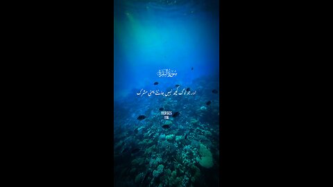 peaceful quran recitation