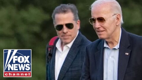 'LIVING HELL': Former Hunter Biden whistleblower describes IRS under Biden admin