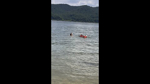 Swim