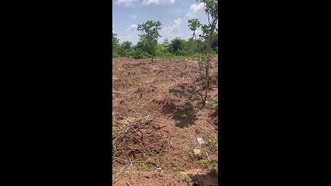 Land