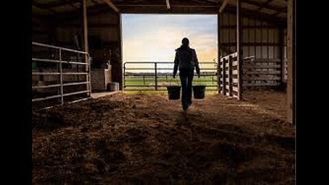 Ranch Life: Balancing Calves & Social Media – Patience is Key!