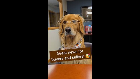 Great news for buyers and sellers! 🥳