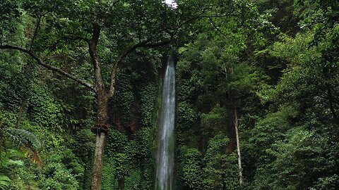 Green Trees and Waterfalls Footage
