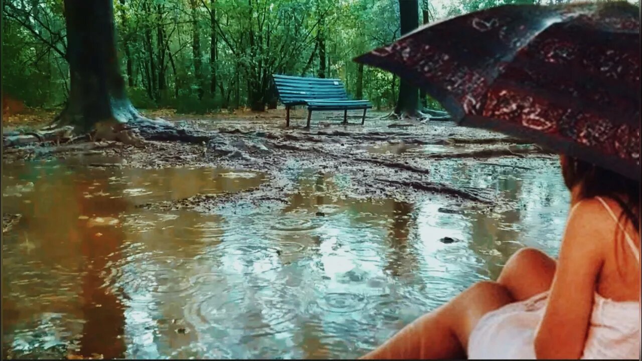 Heavy rain and thunderstorms/ Relaxing rain for deep asleep, Rain Sounds to Study, Relax, #rain