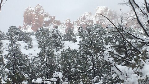 Winter's Touch on Sedona: Snow-Capped Red Rocks Revealed