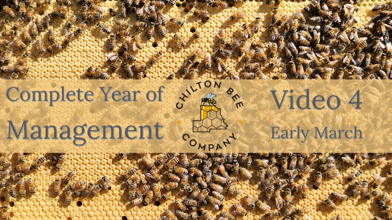 Complete Year of Management: Early March