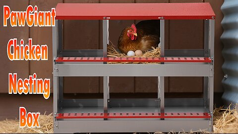PawGiant Chicken Nesting Boxes