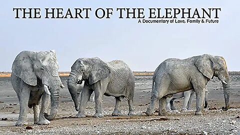 The Heart Of The Elephant: A Documentary of Love, Family & Future