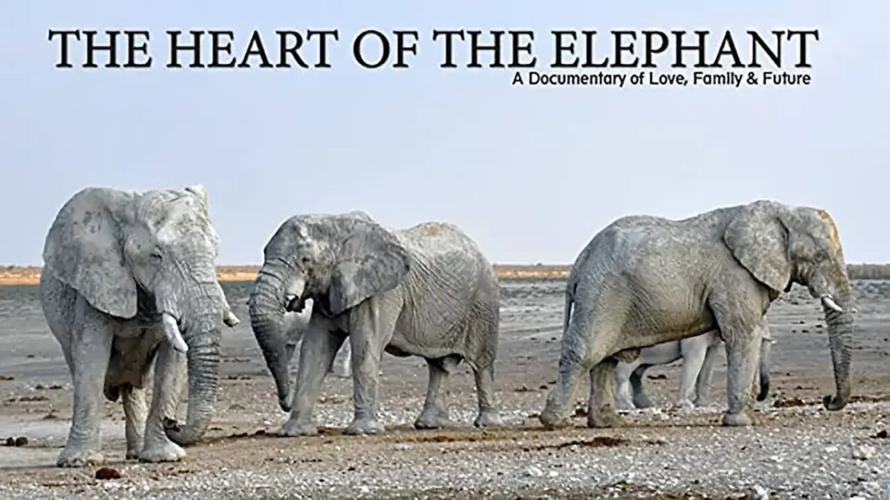 The Heart Of The Elephant: A Documentary of Love, Family & Future