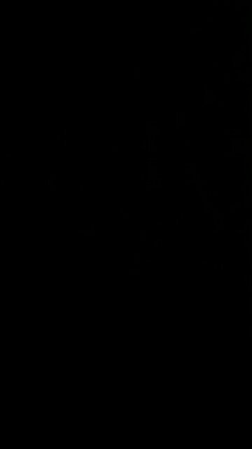 Composition Whistling for July 11, 2025