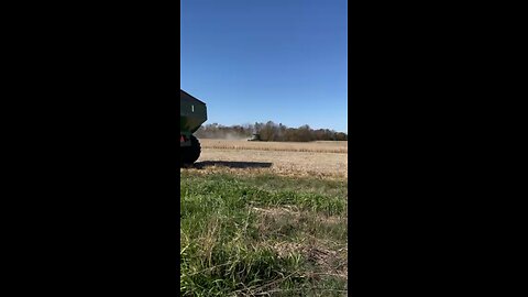 Harvest Time