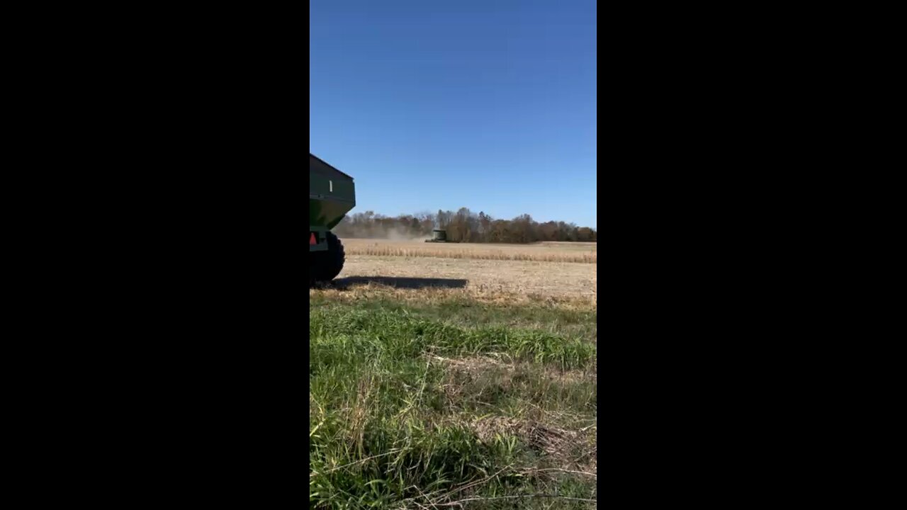 Harvest Time