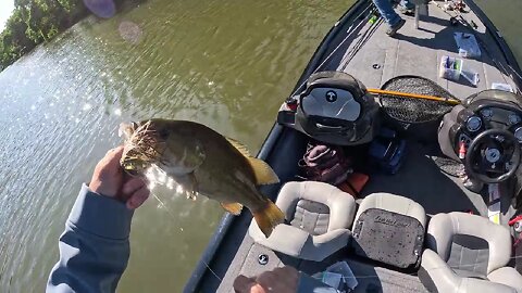 Ep 228 " Muddy Montgomery Pool w/ Dave T " { Kicker Small Mouth }