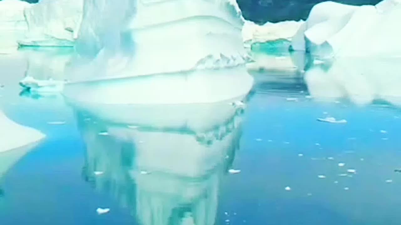 ⚪Aivi - Лёд под ногами майора...❄️(Егор Летов remix)