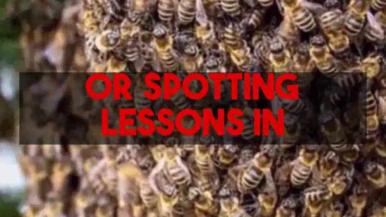 Entrepreneurial Lessons from Podcasts Beyond the Usual Advice