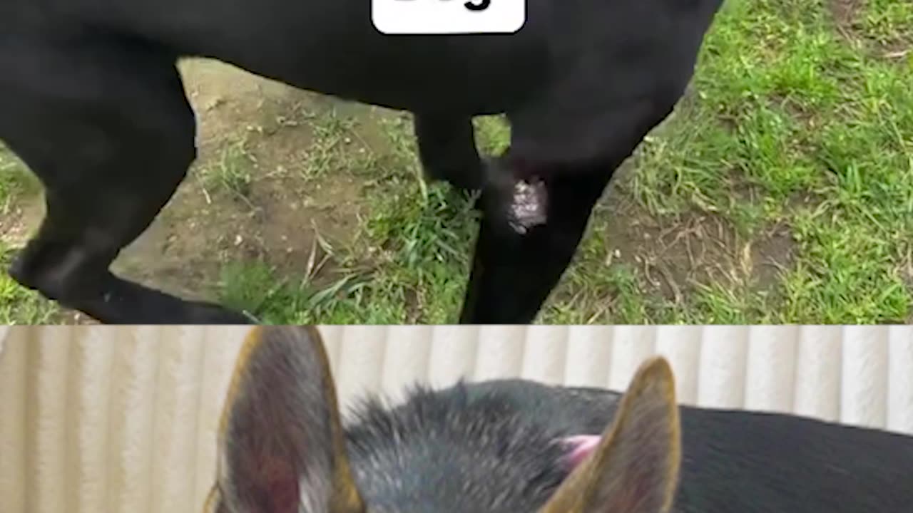 He listens SO WELL