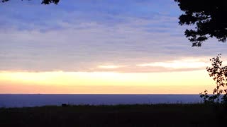 Get Life Training GymHymn FloorMusik TheRemixLabel TeleGram