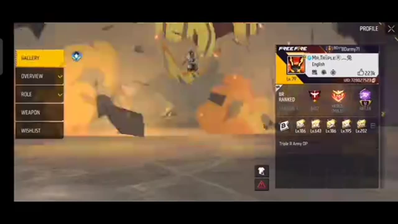 Free Fire video
