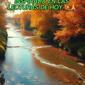 🙏✨Oración Inspirada en las Lecturas de Hoy ✨🙏