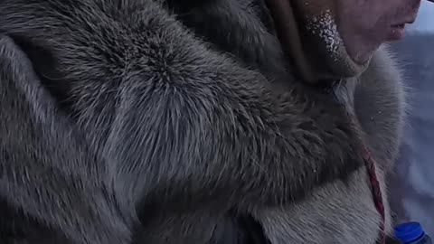 Surviving Extreme Cold_ Sleep-Saving Wilderness Tips & Tricks