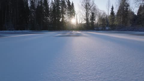 Excado Yolo Study Flow