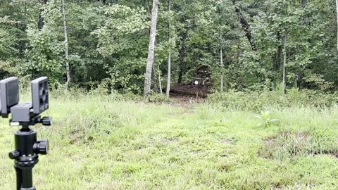 Kentucky Deluxe Rifle build WINDAGE