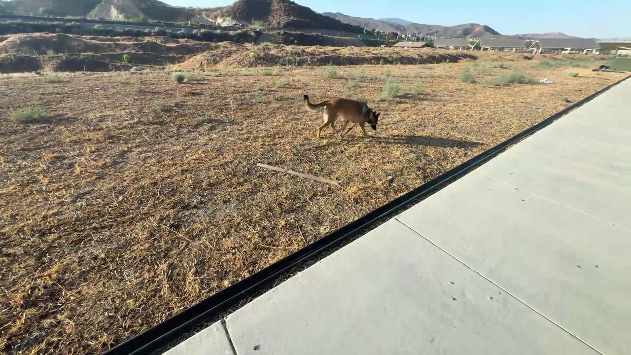 Random Stream IRL