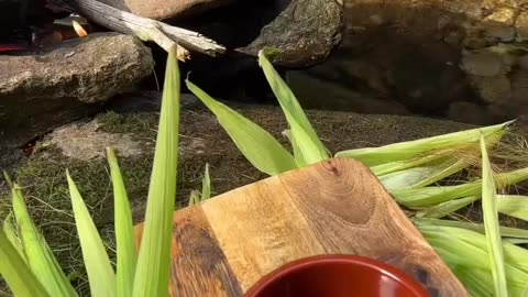 Food and Love