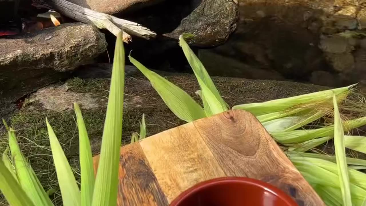 Food and Love